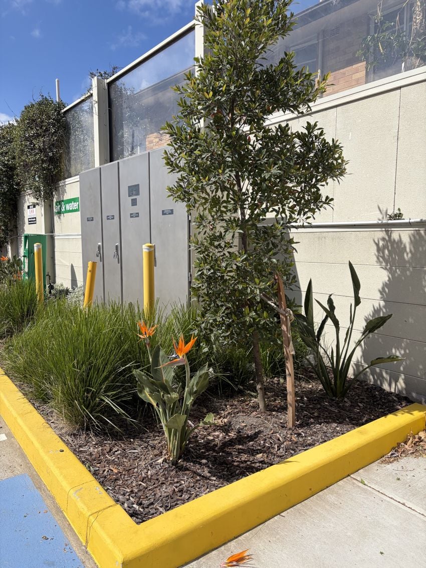 Convenience Outlet, BP Longueville convenience outlet, bp longueville